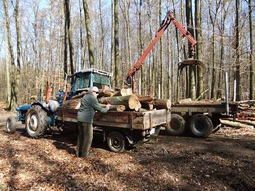 Rücken und Abtransport 2011 243.JPG