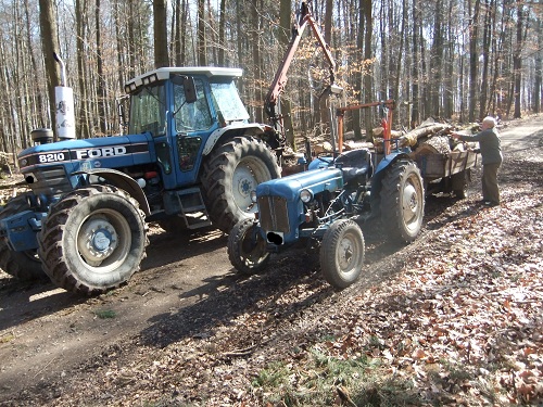 Rücken und Abtransport 2011 242.JPG