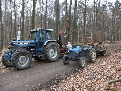 Rücken und Abtransport 2011 239.JPG