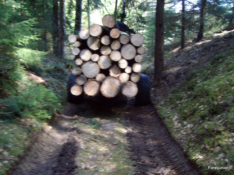 Zuzigu Polter abfahren 010.JPG