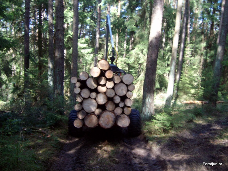 Zuzigu Polter abfahren 008.JPG