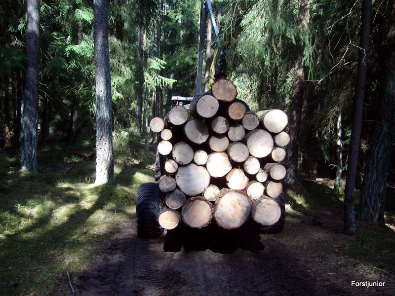 Zuzigu Polter abfahren 005.JPG