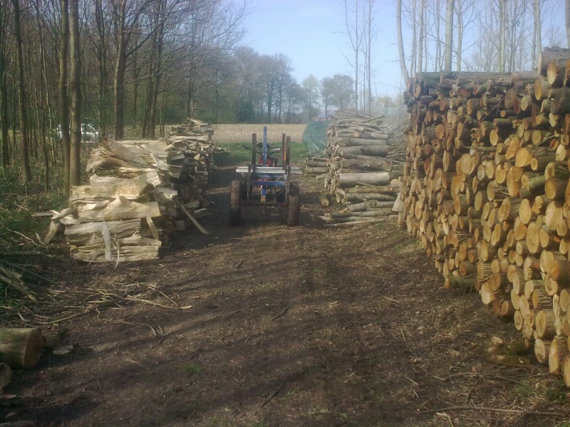 Brennholz 2011-20.JPG