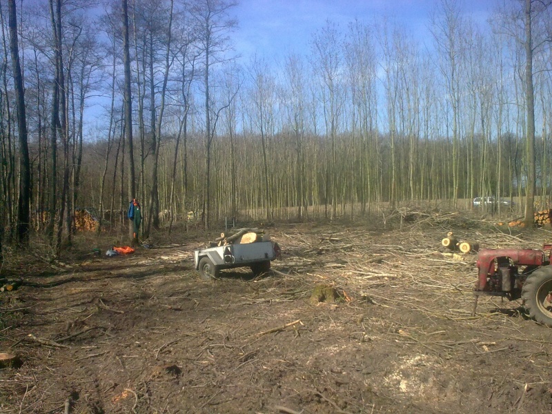 Brennholz 2011-17.JPG