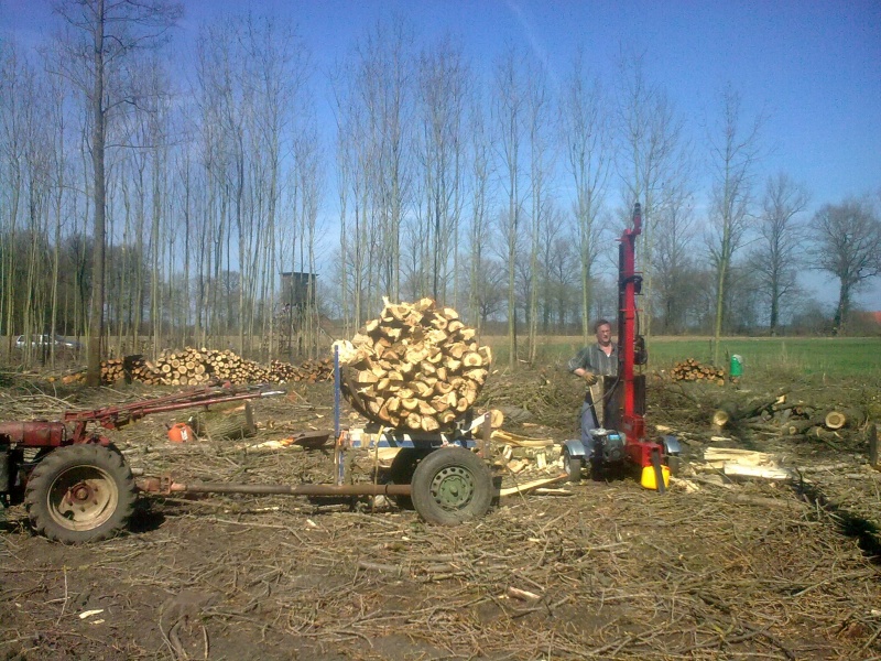 Brennholz 2011-16.JPG