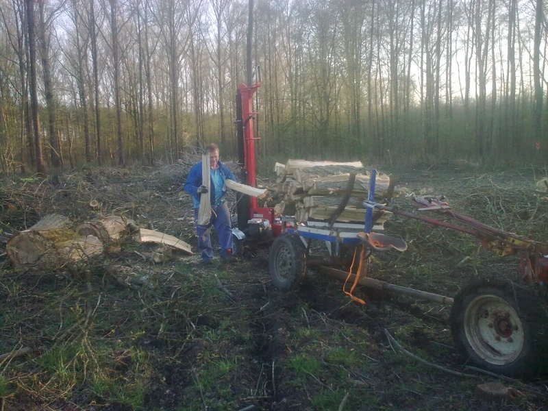 Brennholz 2011-15.JPG