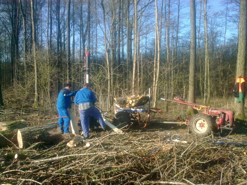 Brennholz 2011-14.JPG