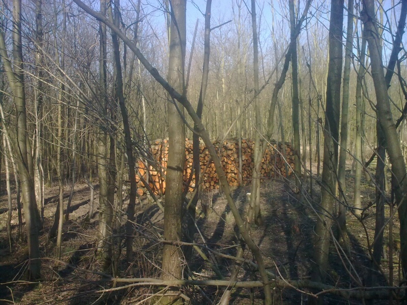 Brennholz 2011-11.JPG