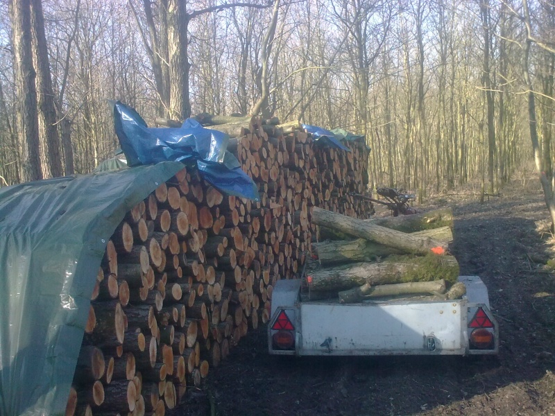 Brennholz 2011-10.JPG