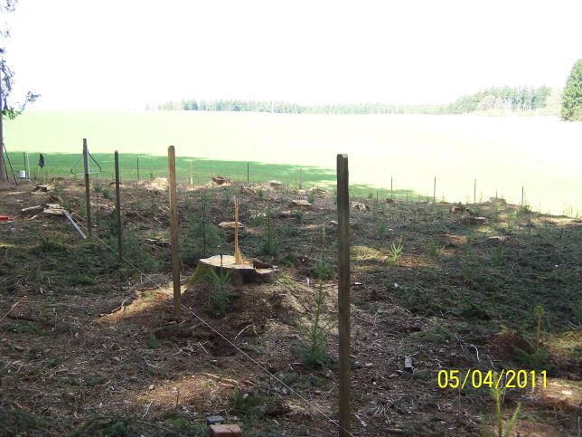 anpflanzen buch 019.jpg