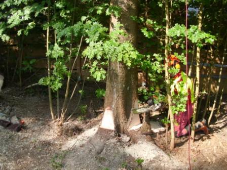 Mittendrin statt nur dabei!.JPG