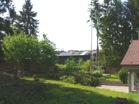 Problembaumfällung, nachher,21.05.11.JPG