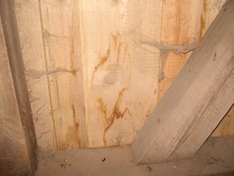 Bretterschalung 004.JPG