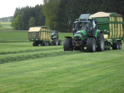 1.Schnitt 2011-1.JPG