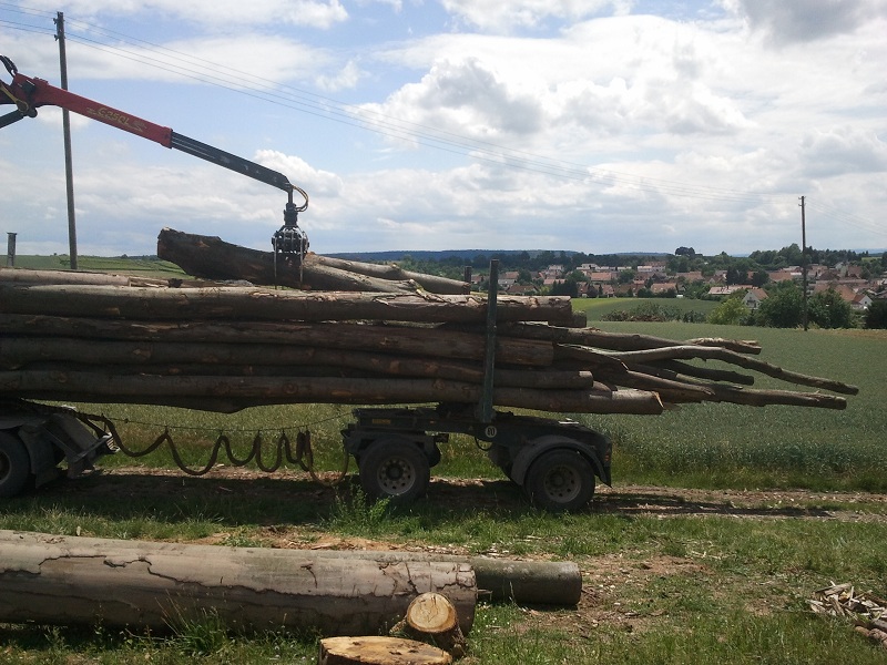 2011-06-11 14.21.48.jpg