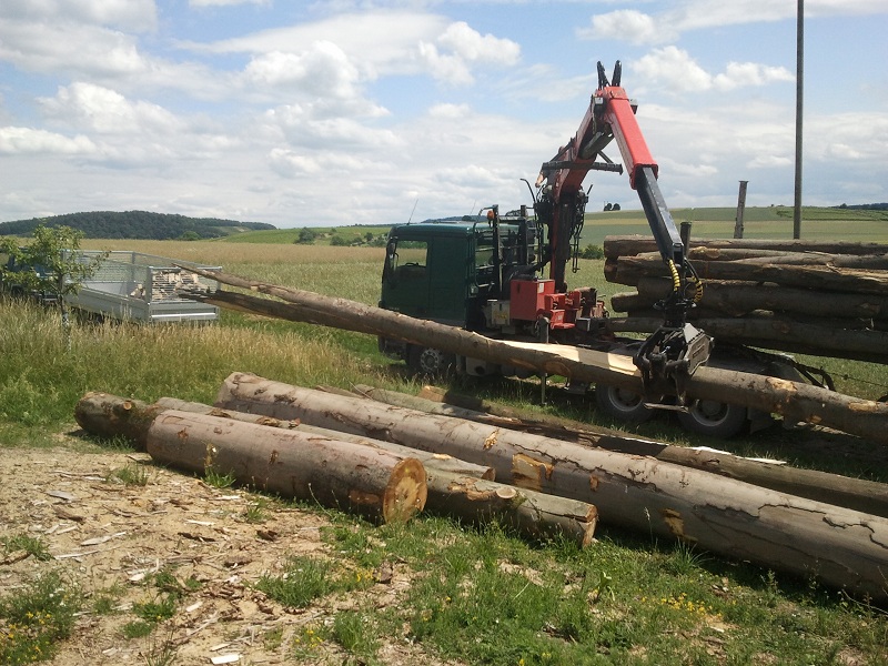 2011-06-11 14.24.09.jpg