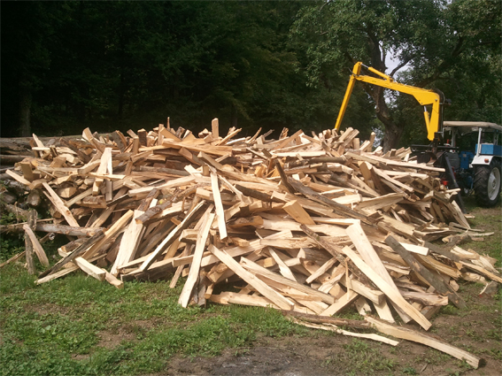 holzhaufen.jpg