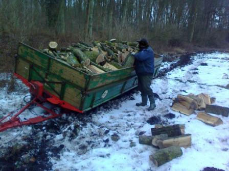 Holz machen´11 016a.JPG