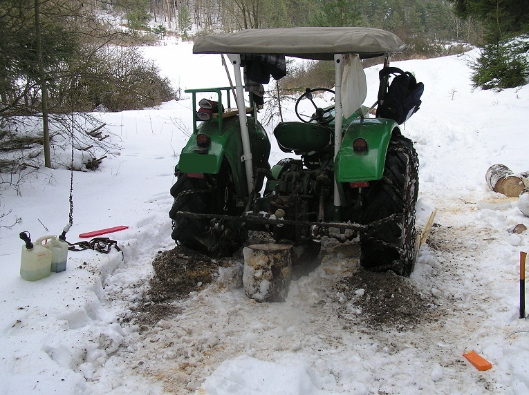 brennholz 20.01.2010 (12).JPG