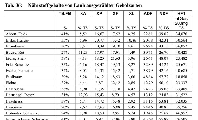 laub_nährstoffe.jpg