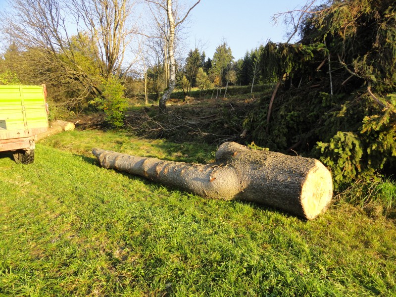 dickes Feuerholz.jpg