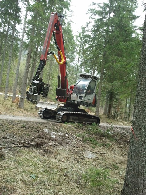 2011-03-26 13.13.03.jpg