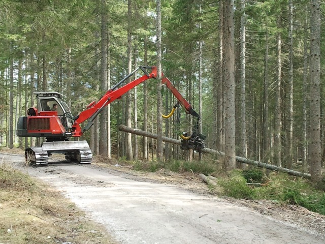 2011-03-26 12.51.23.jpg