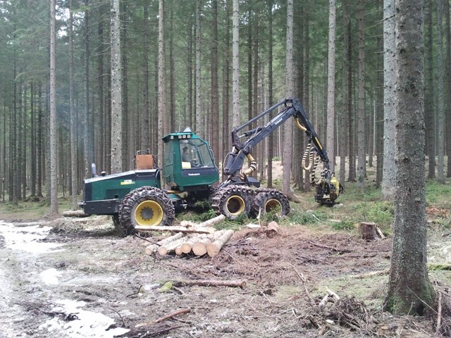 2011-03-17 08.50.46.jpg