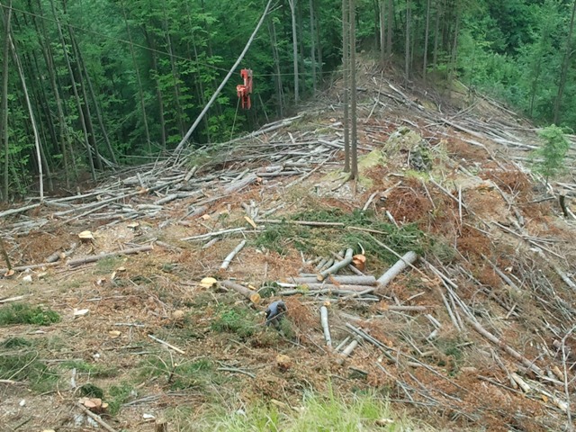 2011-06-10 08.04.52.jpg