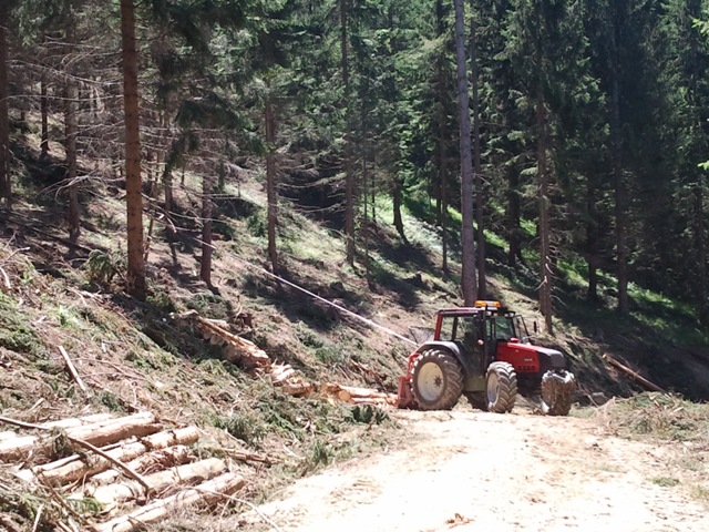 2011-06-28 12.17.32.jpg