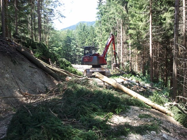 2011-06-28 11.45.58.jpg