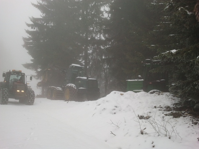 2011-02-15 13.25.42.jpg