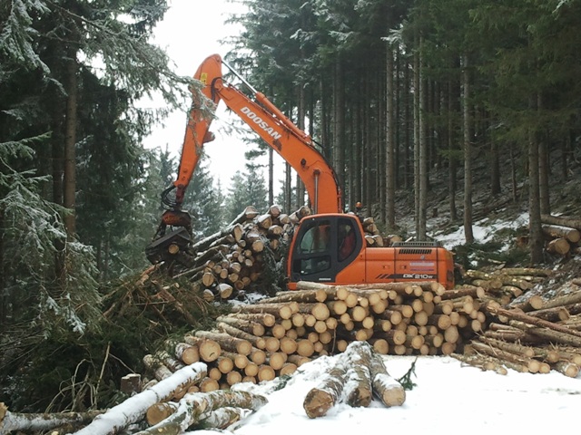 2011-02-28 09.23.42.jpg