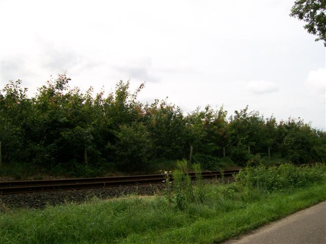 Wald B4 007.jpg