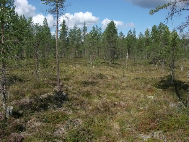 DSCF1893.jpg