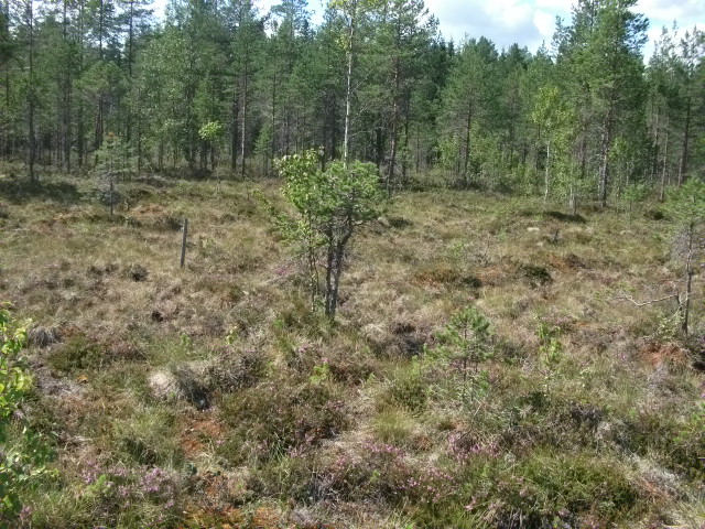DSCF1895.jpg