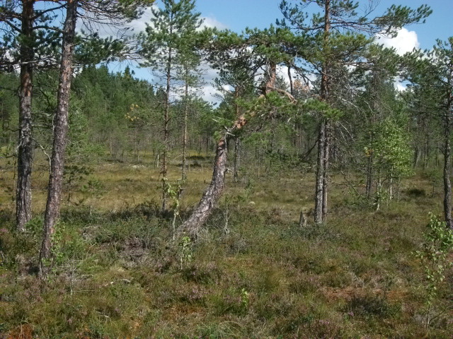 DSCF1900.jpg