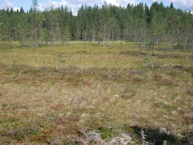 DSCF1902.jpg