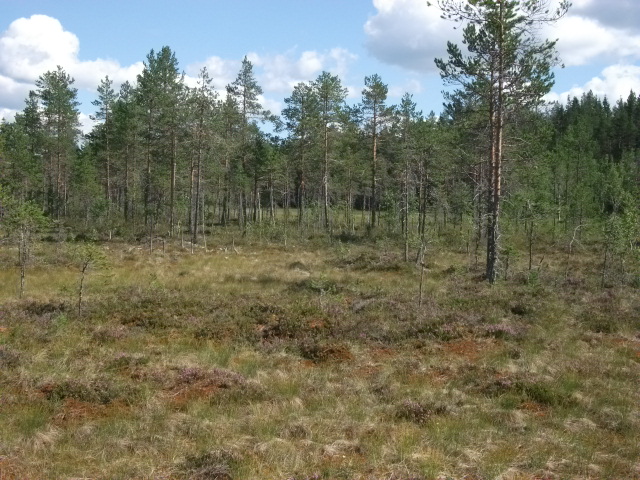 DSCF1904.jpg