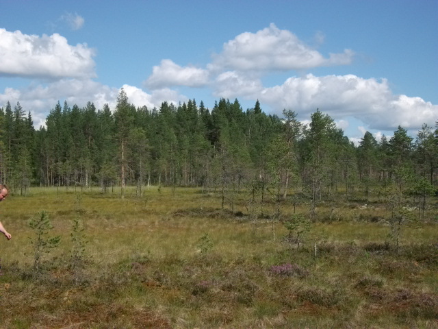 DSCF1906.jpg