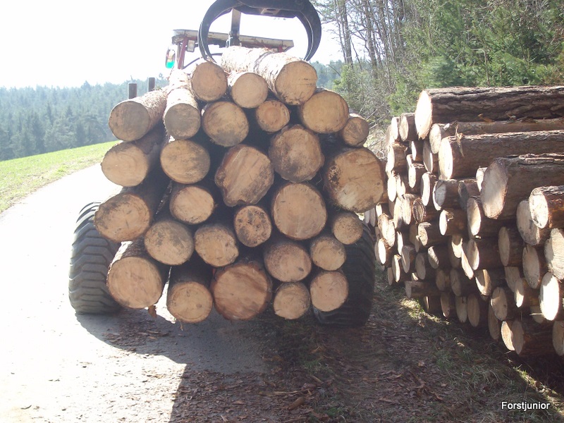 Zuzigu Polter abfahren 004.JPG