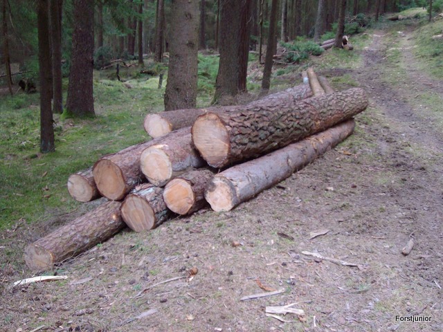 Schneebruch2011 001.JPG