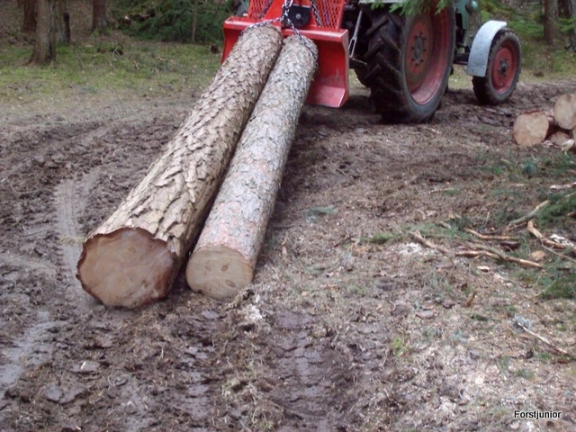 Schneebruch2011 004.JPG