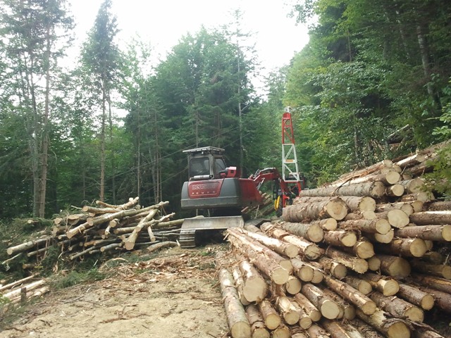 2011-08-30 15.38.29.jpg