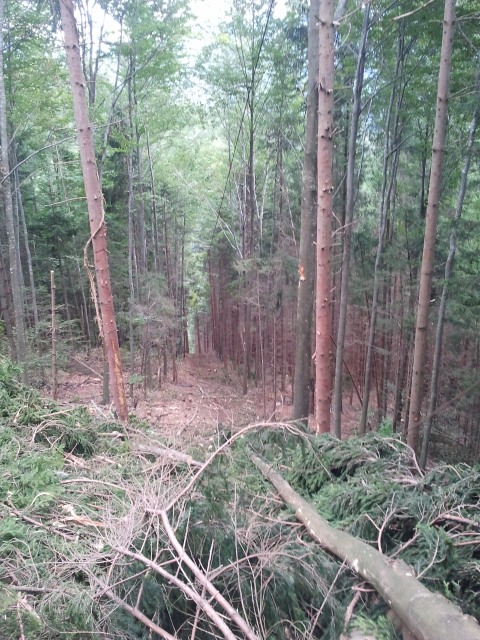 2011-08-30 15.39.25.jpg