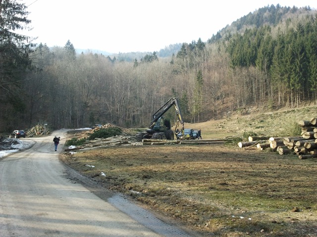 2011-03-09 14.56.19.jpg