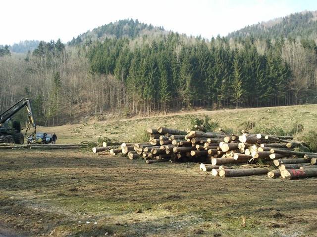 2011-03-09 14.56.27.jpg