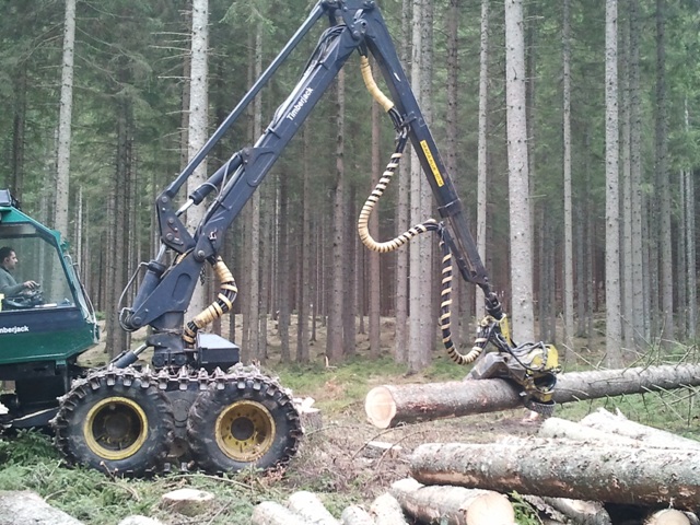 2011-03-17 09.42.05.jpg