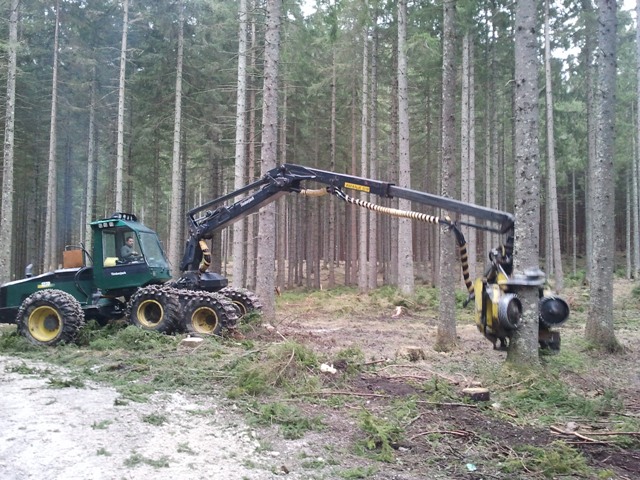 2011-03-17 09.03.54.jpg