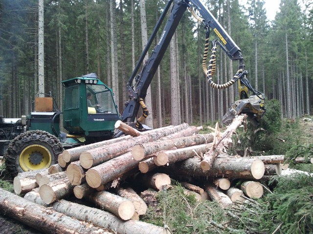 2011-03-17 10.02.47.jpg